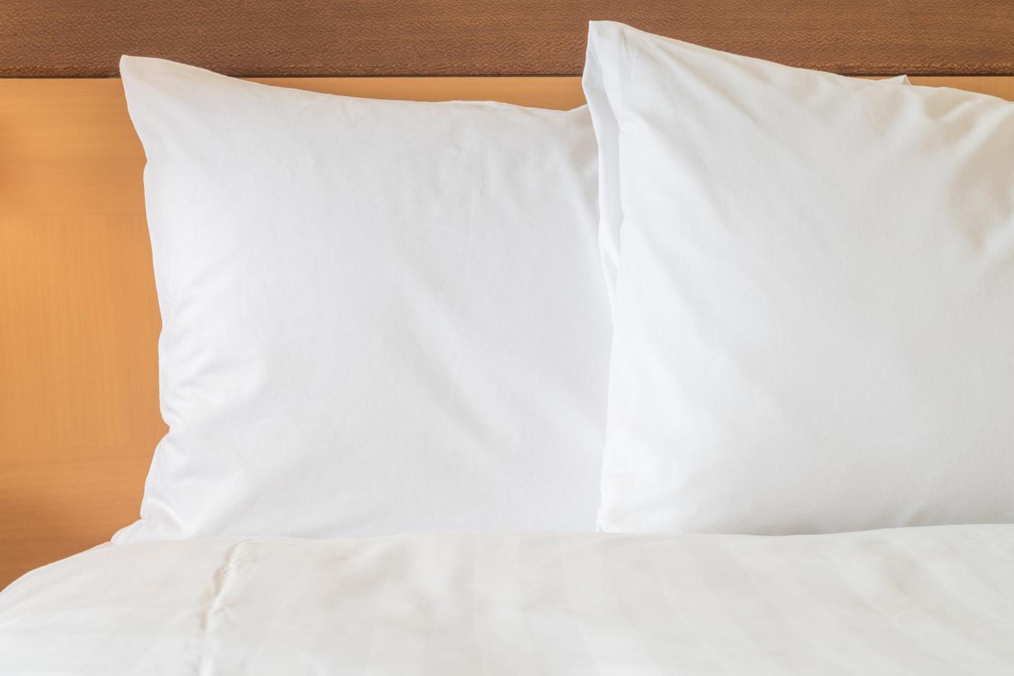 Holiday Inn Nashville Downtown - Stadium By Ihg Экстерьер фото